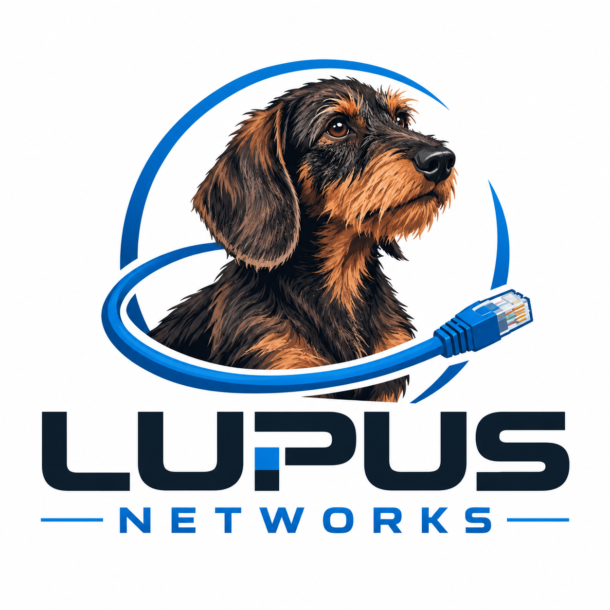 Lupus Networks 